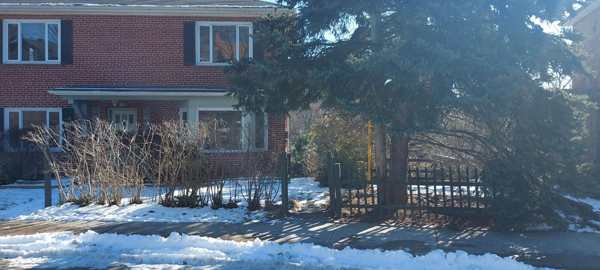 High Park Single Room With Personal Washroom And Kitchen Toronto Exteriér fotografie