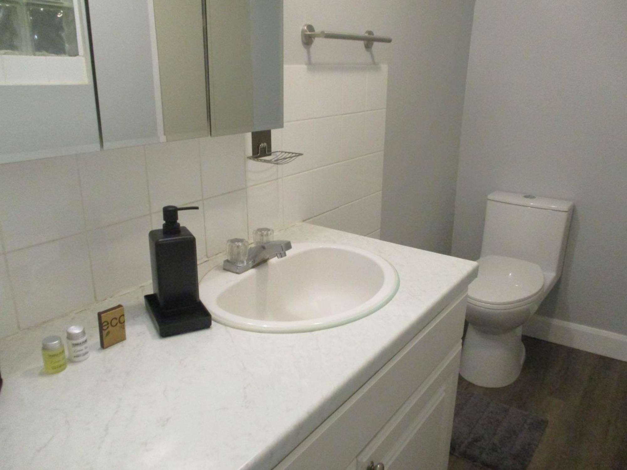 High Park Single Room With Personal Washroom And Kitchen Toronto Exteriér fotografie
