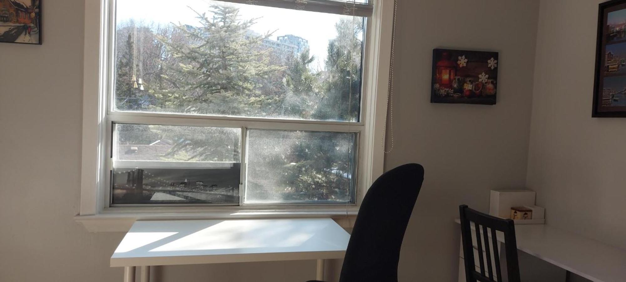 High Park Single Room With Personal Washroom And Kitchen Toronto Exteriér fotografie
